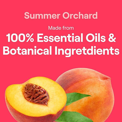 Seventh Generation Dish Soap Liquid Summer Orchard Scent Pack of 6 Dishwashing Soap Dish Detergent Liquid Soap 19 oz