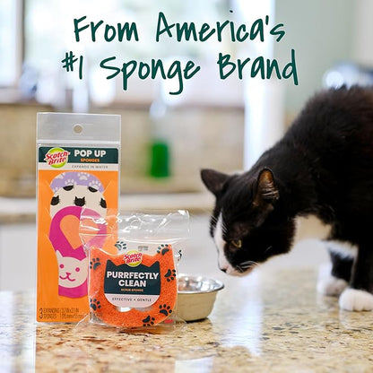 Scotch-Brite Purrfectly Clean Non-Scratch Scrub Sponge, Two- Sided, Limited Edition, 1 Sponge