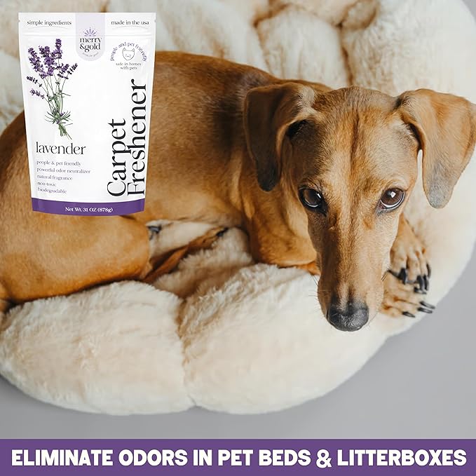 Merry & Gold Carpet Freshener & Deodorizer Powder - 31oz | Pet Odor Eliminator for Strong Odors | Safe for Homes with Pets | Made in USA | Natural Ingredients (Lavender)