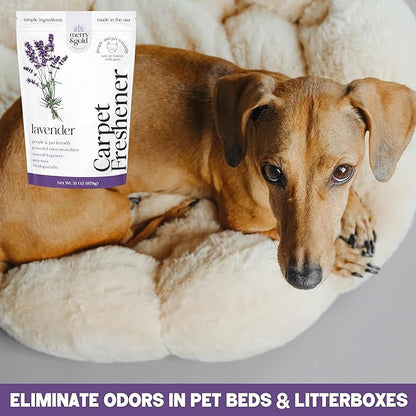 Merry & Gold Carpet Freshener & Deodorizer Powder - 31oz | Pet Odor Eliminator for Strong Odors | Safe for Homes with Pets | Made in USA | Natural Ingredients (Lavender)