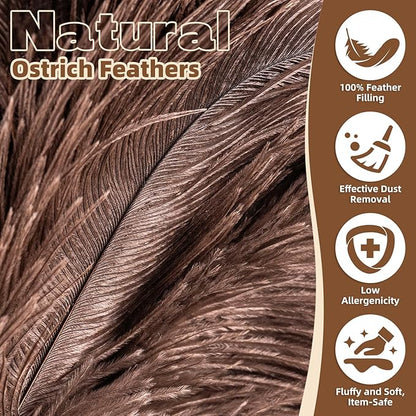 2 Pack Ostrich Feather Dusters with Wooden Handle, 13.5 inch Natural Fluffy Feather Dusters for Dusting Home, Car, Delicate Surfaces, Reusable Soft Cleaning Tools for Ledges, Blinds