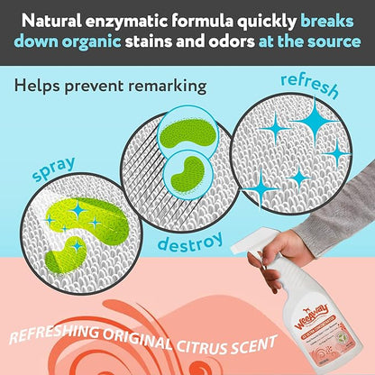 Wee Away X2 Ultra-Concentrated Stain & Strong Odor Eliminator, Enzyme Cleaner, Pet Odor Eliminator for Home - Cat & Kitten Urine Destroyer, Original Citrus Scent, 16 fl oz