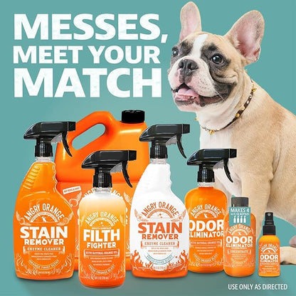 ANGRY ORANGE Spray and Go Floor Cleaner - Citrus Mint - 32 oz - Value 2 Pack