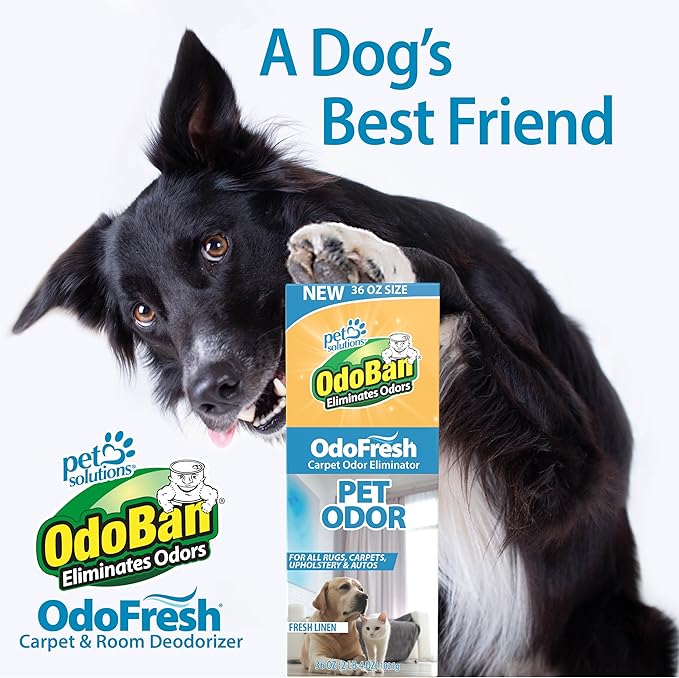 OdoBan OdoFresh Carpet and Room Deodorizer Powder for Home Smells and Odors Including Smoke, Pet Urine, Dogs, and Cat Litter, Made in the USA, Fresh Linen Scent, 36 Ounces, Pack of 6