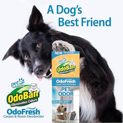 OdoBan OdoFresh Carpet and Room Deodorizer Powder for Home Smells and Odors Including Smoke, Pet Urine, Dogs, and Cat Litter, Made in the USA, Fresh Linen Scent, 36 Ounces, Pack of 6