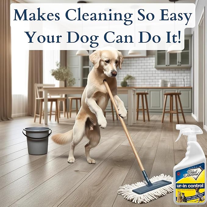 Black Diamond Stoneworks Eliminates Urine Odors – Controls Cat, Dog, Pet & Human Smells from Carpet, Furniture, Mattresses, Grout and Pet Bedding & Concrete. Biodegradable Enzymes (1-Gallon)