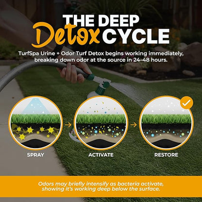 Urine & Odor Turf Detox: 2- Pack of Mango 32 oz Professional Enzyme Cleaner & Odor Eliminator for Artificial Grass, Turf, Concrete, Patio & Kennels, Pet Urine Enzymatic Cleaner for Dogs & Cats