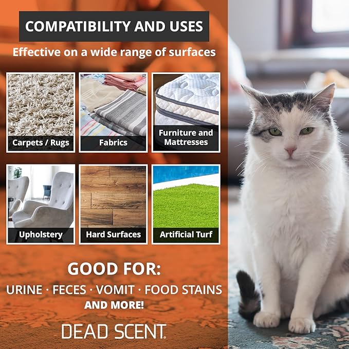 Ultimate Enzyme+ Cleaner – Professional-Grade Odor and Stain Eliminator for Pet Smells, Basements, Garages, and More – Fragrance-Free, Powerful Enzyme Formula for Home Use (32 oz)