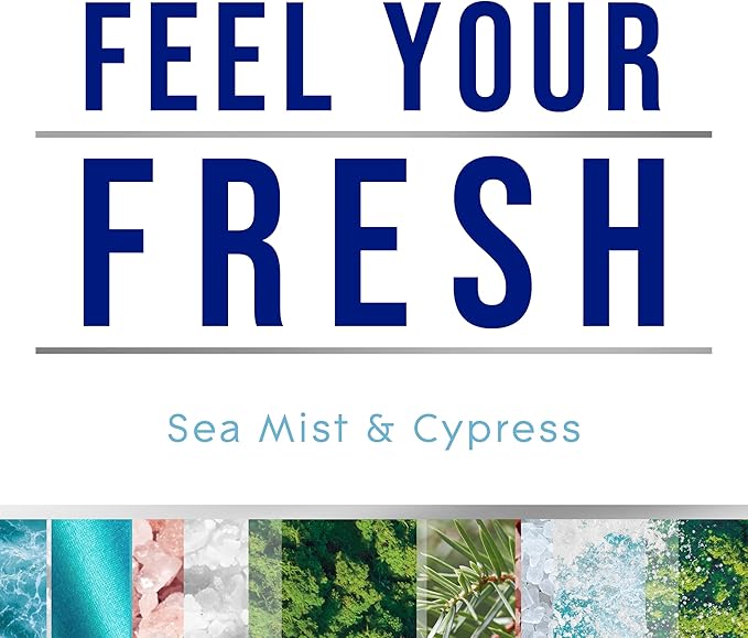 Glade PlugIns Refills Air Freshener, Sea Mist & Cypress, Scented and Essential Oils for Home and Bathroom, 0.67 Fl Oz, 2 Count