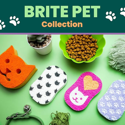 Scotch-Brite Cat Pop Up Non-Scratch Sponges, Limited Edition,Expands in Water,3 Pack