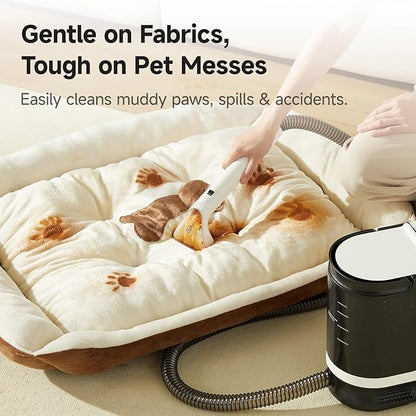uwant Portable Carpet Cleaner 18Kpa Powerful Suction Carpet Cleaner Machine for Pets, Cars, Furniture with Cleaning Tools& Solution Low Noise Technology Upholstery Cleaner for Home, Rugs, Spot