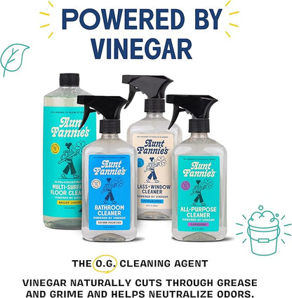 Aunt Fannie's Toy and Highchair Cleaner, Hypoallergenic, Multi-Purpose Spray Powered by Vinegar for Toys, High Chairs, Car Seats, Swings, Counters, and Other Hard Surfaces Fragrance Free, Pack of 6