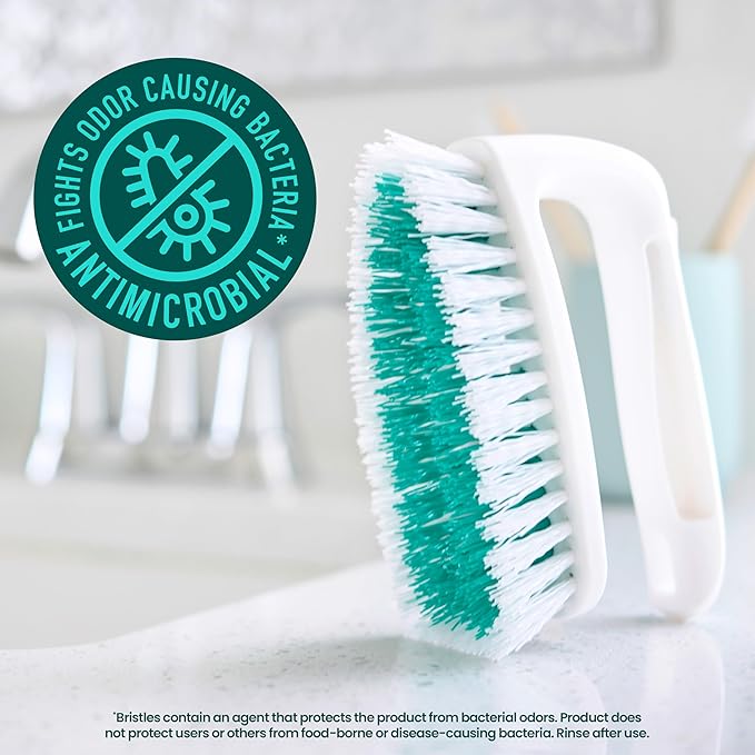 Scotch-Brite All Purpose Brush, For Tile Floors and Walls, Shower Doors, Tubs, Bathroom Fixtures, and More, 6 Count