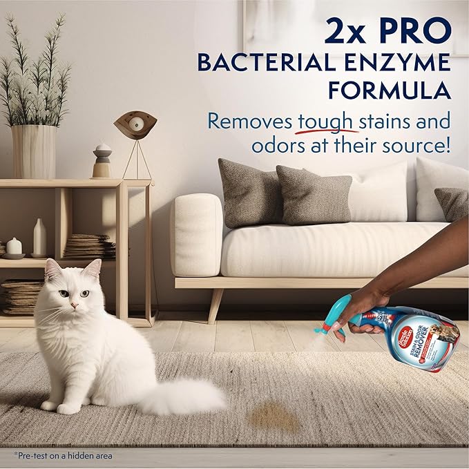 Simple Solution Stain and Odor Eliminator Spray, Enzyme Carpet Cleaner for Dogs and Cats, Pet Stain Remover and Urine Odor Eliminator, Multi Surface Pet Cleaning Solution, 32 oz (Pack of 2)