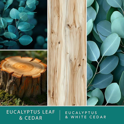 ScentSationals Eucalyptus Leaf & Cedar Fragrance Oil Plug In Air Freshener Refills 3-Pack - Works with Scentsationals Wall Plugs, Long-Lasting Home Fragrance, 0.8 fl oz Each, Packaging May Vary
