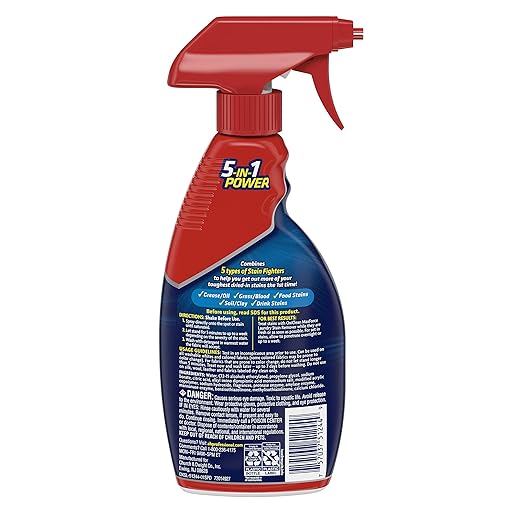 Oxiclean Max Force Stain Remover Professional, 12 fl oz, (Pack of 12)