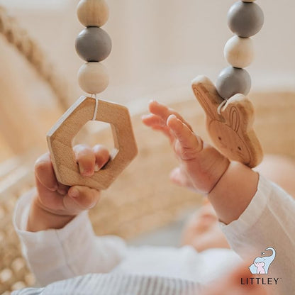 Littley Toy & Surface Cleaner | 16 oz | Alcohol-Free HOCl Spray for Baby Toys & High-Touch Surfaces | Fragrance-Free Formula | Gentle Cleaning for Everyday Messes