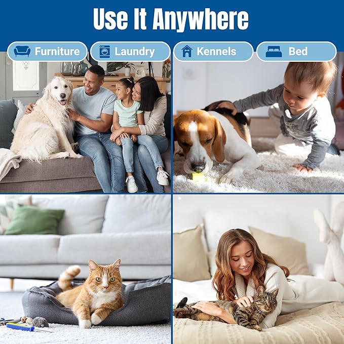 Bioclean Pet Carpet Cleaner & Deodorizer – Eliminates Pet Urine Smell, Stain & Odor Remover, No Residue, Made in USA – 16oz