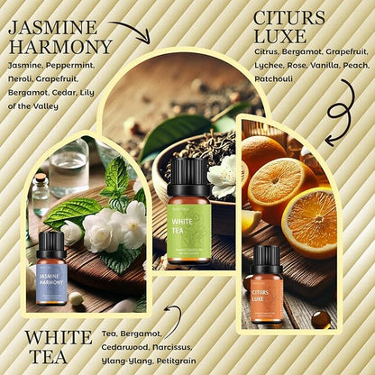 Premium Hotel Fragrance Oil Collection for Diffusers, Essential Oils for Diffusers for Home, Hotel Diffuser Fragrance Oils,Spa & Candle Making, White Tea, Citrus Luxe, Velvet Night and More - 6x10ml