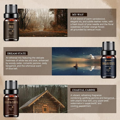 Hotel Diffuser Oils, Hotel Collection Diffuser Oil, Luxury Essential Oil for Diffuser, Soap & Candle Making Scents - 1 Way, Dream State, Coastal Cabine, Gloden Magic