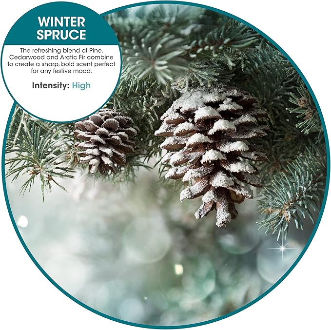 Fresh Products ourfreshe Plug In Air Freshener 30 Day Refills Replace Messy Aerosols with Dry Fragrance For Use in Medium Sized Spaces Winter Spruce 6 Pack