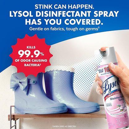 Lysol Disinfectant Spray, Sanitizing and Antibacterial Spray, For Disinfecting and Deodorizing, Early Morning Breeze, 1 Count, 12.5 fl oz each, Packaging may vary