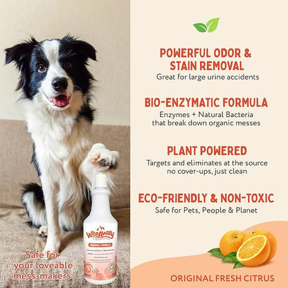 Wee Away Original Formula Concentrated Stain & Odor Remover, Enzyme Cleaner, Pet Urine Odor Eliminator for Home - Pet Mess Destroyer for Carpet & Furniture, Original Citrus Scent, 32 fl oz