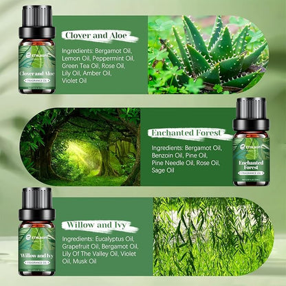 Spring Fragrance Oils Set, Essential Oils for Diffuser for Home, Candle Sopa Making - Enchanted Forest, Willow and Ivy, Clover and Aloe, Fresh Bamboo, Scented Oil Gift Set