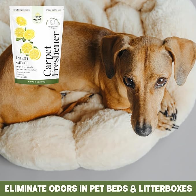 Merry & Gold Carpet Freshener & Deodorizer Powder - 31oz | Pet Odor Eliminator for Strong Odors| Lemon + Mint | Safe for Homes with Pets | Made in USA | Natural Ingredients (Lemon & Mint)
