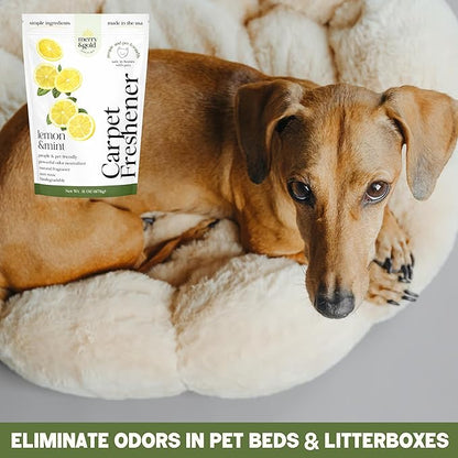 Merry & Gold Carpet Freshener & Deodorizer Powder - 31oz | Pet Odor Eliminator for Strong Odors| Lemon + Mint | Safe for Homes with Pets | Made in USA | Natural Ingredients (Lemon & Mint)