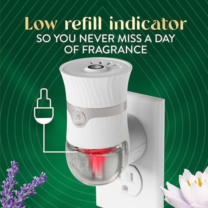 Air Wick Vibrant Plug In Scented Oil Refill, Infused with Essential Oils, Plug In Air Fresheners for Home, Lavender & Waterlily, 4 ct