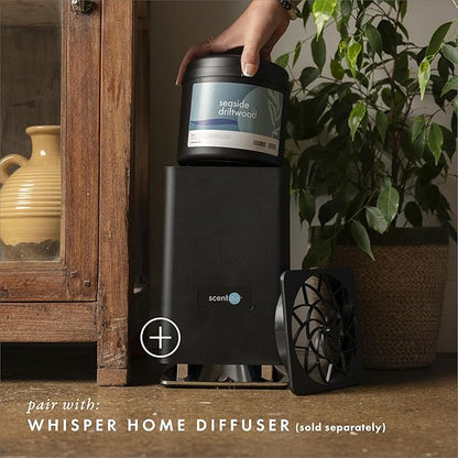 ScentAir Whisper Home Monthly Plug-in Refill, Fragrance Cartridge for Home and Office, Seaside Driftwood