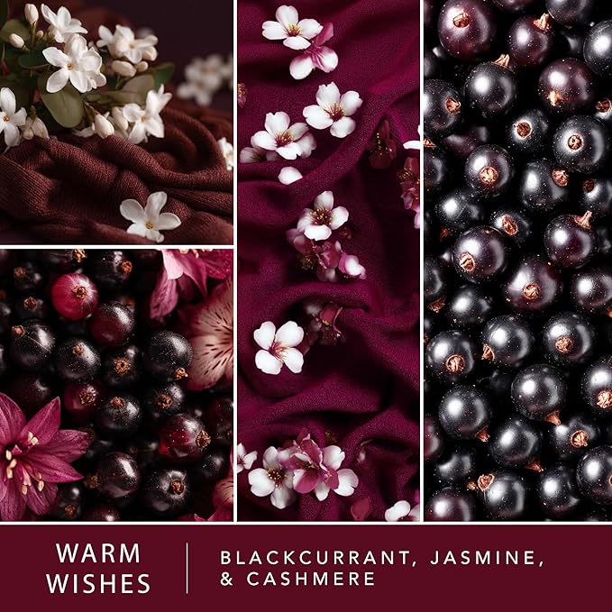 ScentSationals Warm Wishes Fragrance Oil Plug In Air Freshener Refills 3-Pack - Works with Scentsationals Wall Plugs, Long-Lasting Home Fragrance, 0.8 fl oz Each, Packaging May Vary