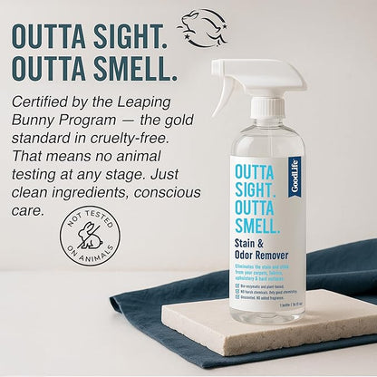 Natural Odor and Stain Remover Spray - Unscented Plant-Based Child and Pet Safe Cleaner Earth-Friendly Odor Eliminator Eco Cleaning Products for Home, Carpet, Upholstery 16 oz