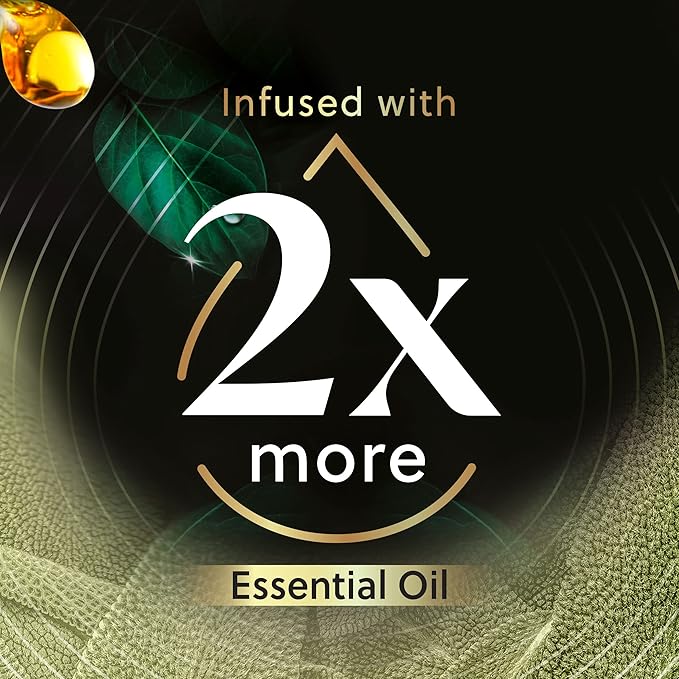 Air Wick Vibrant Plug In Scented Oil Warmer + Refills, Infused with Essential Oils, Plug In Air Fresheners for Home, Mixed Pack, Gadget + 3 ct