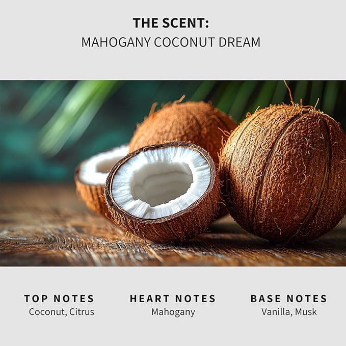 Lapew Mahogany Coconut Dream Carpet Deodorizer Powder - Pet Safe Freshener for Vacuuming | Scented Odor Eliminator for Home | 36 oz