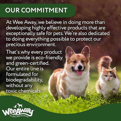Wee Away All in One Pro Stain & Odor Remover, Enzyme Cleaner, Pet Urine Odor Eliminator for Home - Pet Mess Destroyer for Carpet & Furniture, Green Tea Scent, 32 fl oz