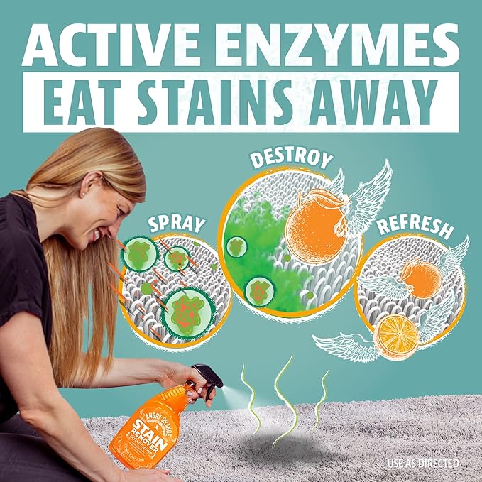 ANGRY ORANGE Pet Stain & Odor Remover for Dog Urine and Stains - Enzyme Pet Odor Eliminator for Home - Citrus - Value 2 pack