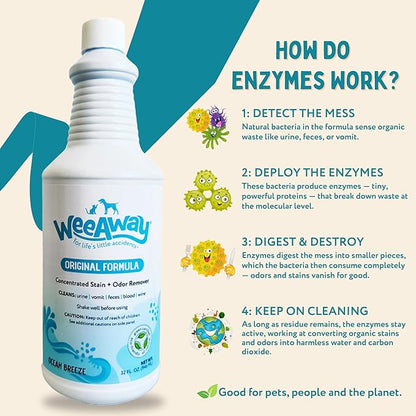 Wee Away Original Formula Concentrated Stain & Odor Remover, Enzyme Cleaner, Pet Urine Odor Eliminator for Home - Pet Mess Destroyer for Carpet & Furniture, Ocean Breeze Scent, 32 fl oz