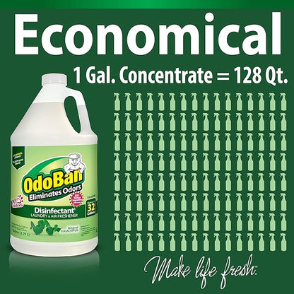 OdoBan Ready-to-Use Disinfectant and Odor Eliminator, Made in the USA, Original Eucalyptus Scent, Set of 2, 32 oz Spray and 1 Gallon Concentrate