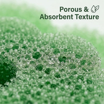 Scrub Flower Temperature Sensitive Sponges -Non-Scratch Scrubbers for Kitchen & Home - Firm in Cold & Soft in Warm Water - Odor Resistant Color-Coded Dish Sponges (Garden Mint, 3 Count)