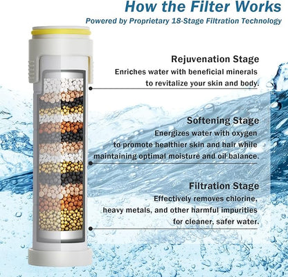 CWPW Filtered Shower Head with Handheld High Pressure 4 Spray Showerhead with Filters for Hard Water-Remove Chlorine ON/OFF Switch for Pets,With 79" Stainless Steel Hose,Bracket,4 Filters,Bath Loofah