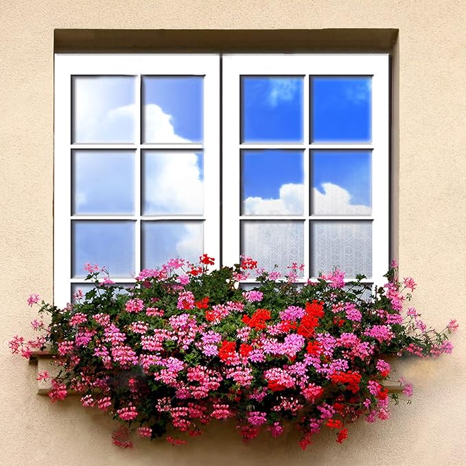 Filmgoo Window Privacy Mirror Film Non-Adhesive Static Cling One Way Daytime Privacy Film Sun Blocking Heat Control Window Tinting Film for Home Office, Black-Silver, 29.5 Inch x 13.1 Feet