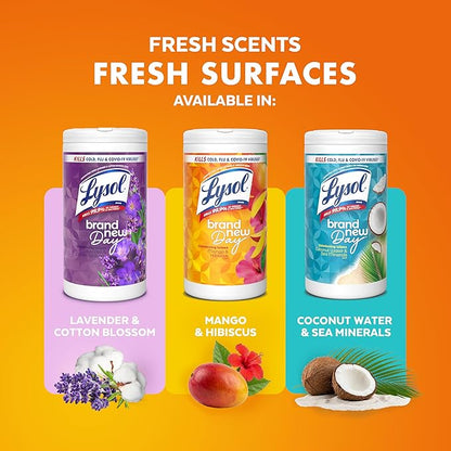 Lysol Disinfecting Wipes Bundle, Home Apartment Dorm Room Essentials and Cleaning Supplies, All Purpose Cleaner, Multi-surface Cleaning & Sanitizing Wipes, Lavender & Mango Scents, 80 Count (4pk)