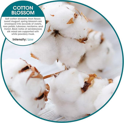 Fresh Products ourfreshe Plug In Air Freshener 30 Day Refills Replace Messy Aerosols with Dry Fragrance For Use in Medium Sized Spaces Cotton Blossom 6 Pack