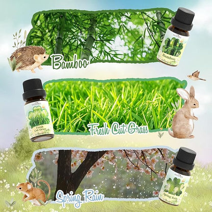 Spring Essential Oil Set of Premium Fragrance Oils for Diffuser- Includes Cherry Blossom, Fresh Cut Grass, Spring Rain, Bamboo, Freesia, Jasmine Diffuser Oils, Candle Making for Aromatherapy, Home Car