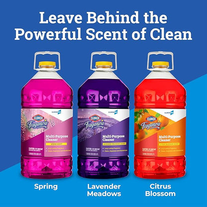 Fraganzia Multi-Purpose Cleaner, CloroxPro, Spring Scent, 175 Fluid Ounces (Package May Vary)