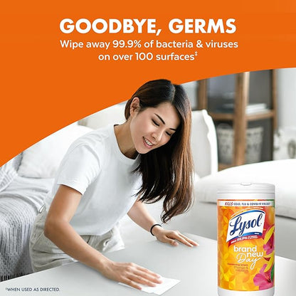 Lysol Disinfecting Wipes Bundle, Home Apartment Dorm Room Essentials and Cleaning Supplies, All Purpose Cleaner, Multi-surface Cleaning & Sanitizing Wipes, Lavender & Mango Scents, 80 Count (4pk)