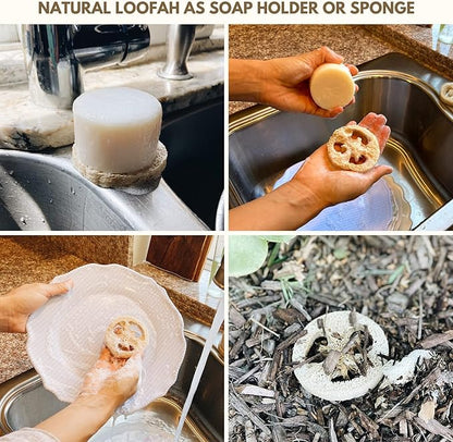 rE: REKURATOR Dishwashing Soap with Loofah Sponge – Eco-Friendly, Gentle, Plant-Based Dish Bar, No Artificial Dyes or Fragrance (Citrus Scented), 5.1 oz