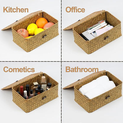 Wicker Basket with Lid, Natural Seagrass Storage Baskets for Organizing, Woven Basket for Storage, Decorative Boxes Bins with Lids Home Organizer Decor (‎Natural, Small)